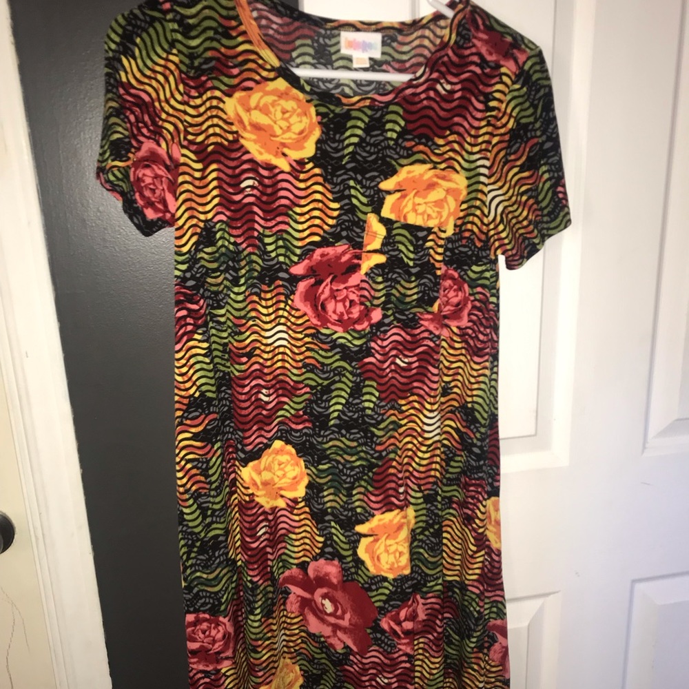 LulaRoe Carly Dress